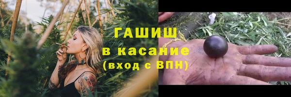 гашик Арсеньев