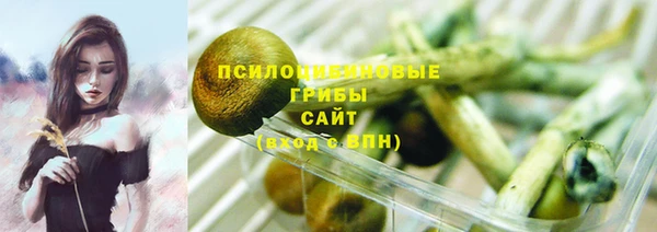 гашик Арсеньев