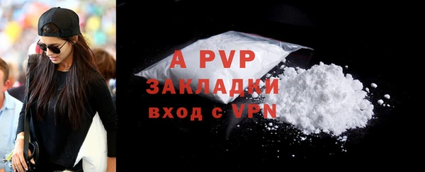 гашик Арсеньев