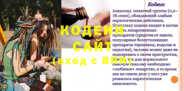 гашик Арсеньев