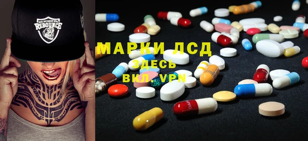 прущие грибы Приозерск