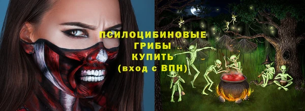 гашик Арсеньев